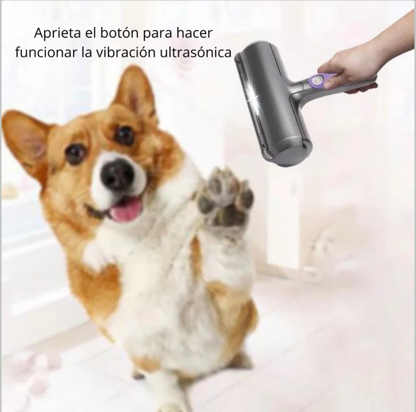 Removedor Pelos de Mascotas